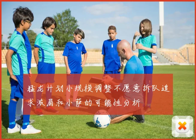 猛龙计划小规模调整不愿意拆队追求浓眉和小萨的可能性分析